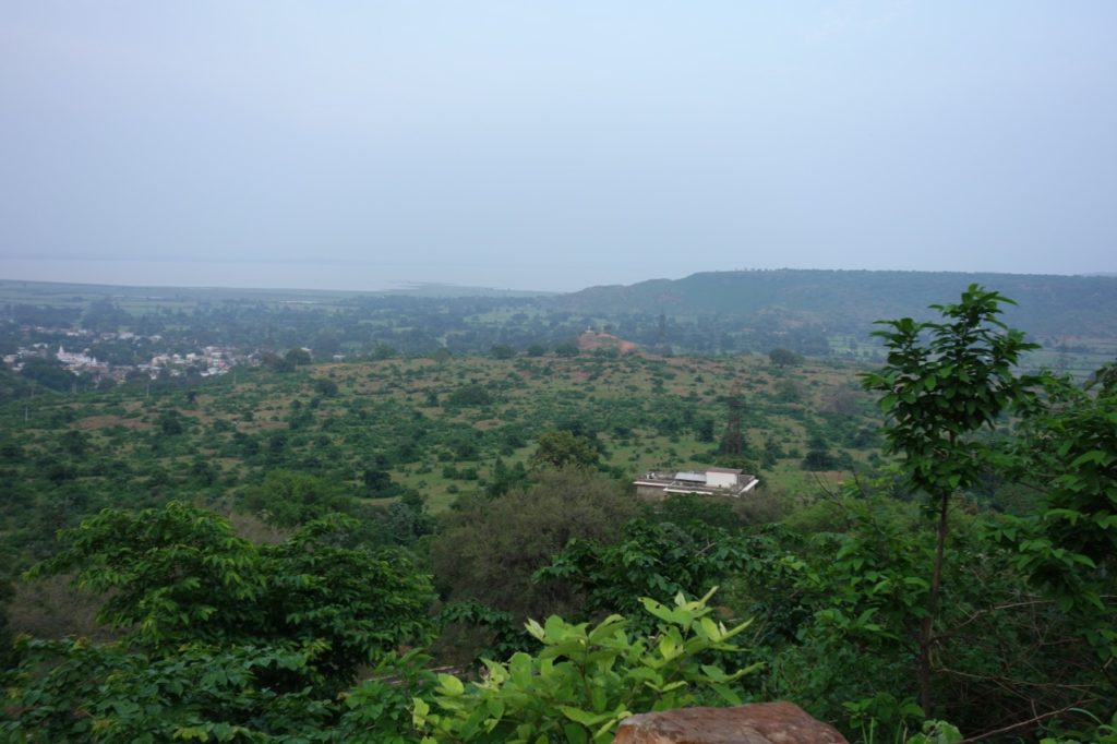 The buildings nestled in the trees are the Tana Bana Hotel, just 2 km from the centre of Chanderi